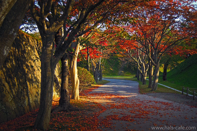五稜郭公園　紅葉のエントランス　撮影：2011年10月31日