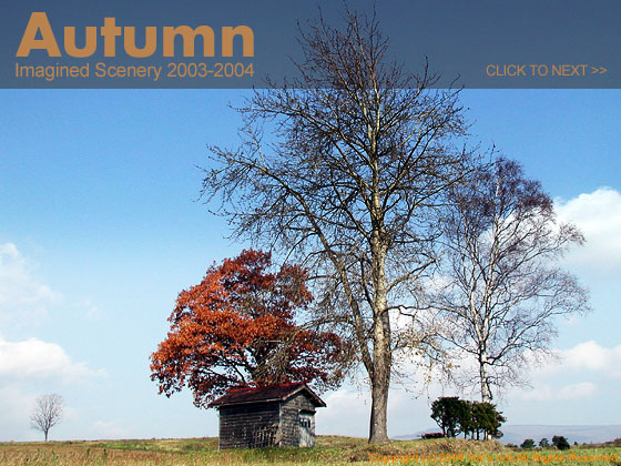 秋#00：Autumn2003-2004　【秋の石川の丘】