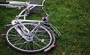 一期一絵（Onceshot in Life-time）#379　2008年11月2日北大水産学部キャンパス　雨に濡れた芝の上、微睡むように倒れていた自転車