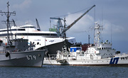一期一絵（Onceshot in Life-time）#433　2009年8月14日　自衛艦と海保巡視船とナッチャンRERAとはこだてどつくのクレーン　撮影：2009年8月10日　函館緑の島より